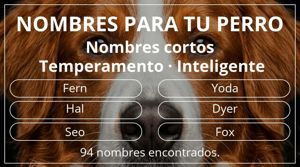 Nombres de perro inspirados en longitud del nombre corto (2-4) y temperamento inteligente
