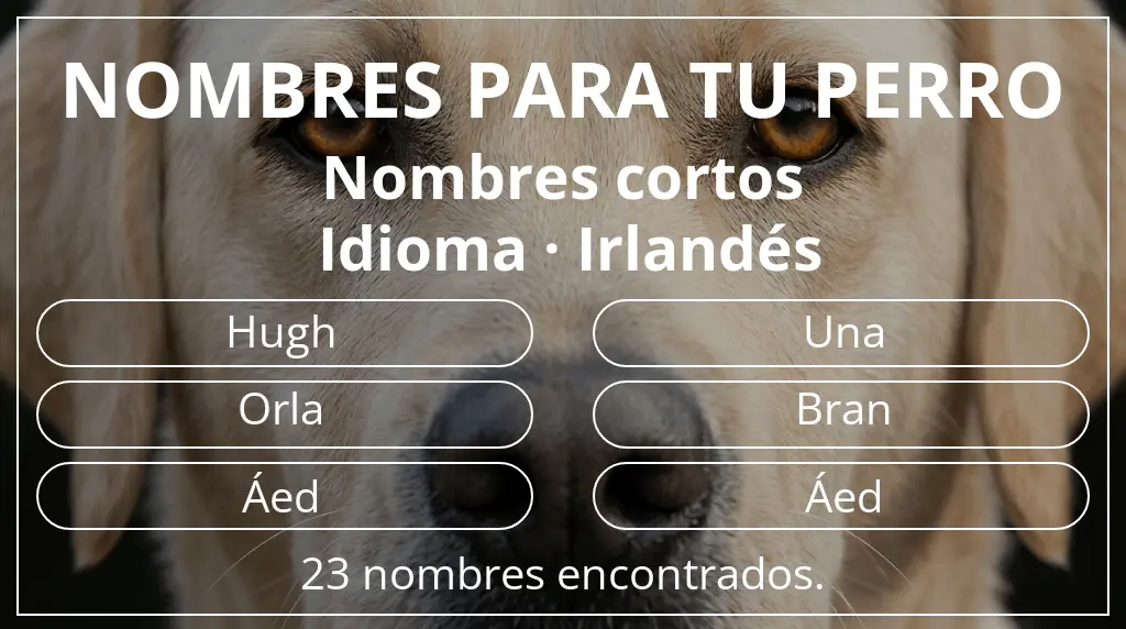 Nombres para perro inspirados en longitud del nombre corto (2-4) y idioma irlandés