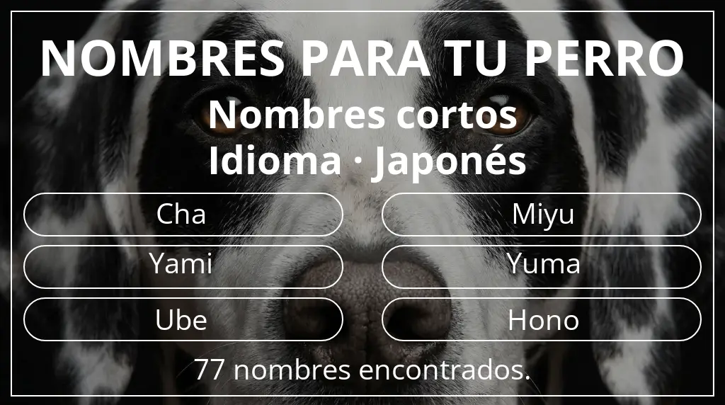 Nombres de perro inspirados en longitud del nombre corto (2-4) y idioma japonés
