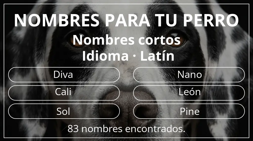 Nombres de perro inspirados en longitud del nombre corto (2-4) y idioma latín