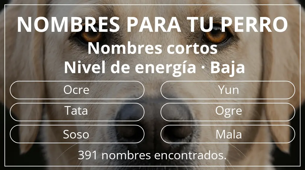 Nombres para perro inspirados en longitud del nombre corto (2-4) y nivel de energía baja