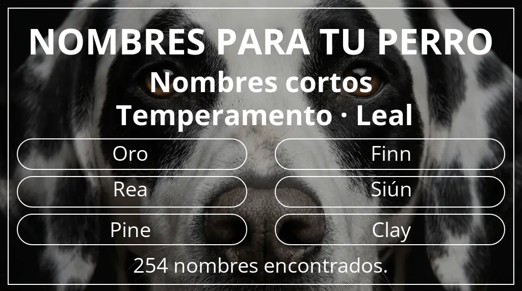 Nombres para perro inspirados en longitud del nombre corto (2-4) y temperamento leal