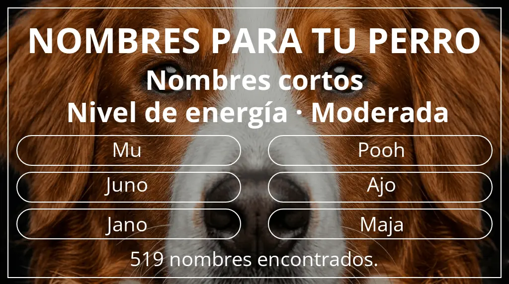 Nombres de perro basados en longitud del nombre corto (2-4) y nivel de energía moderada