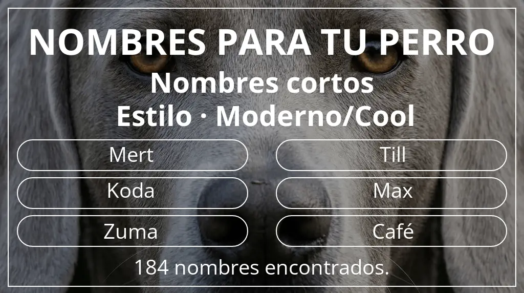 Nombres para perro basados en longitud del nombre corto (2-4) y estilo moderno/cool