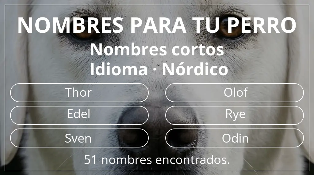 Nombres para perro inspirados en longitud del nombre corto (2-4) y idioma nórdico