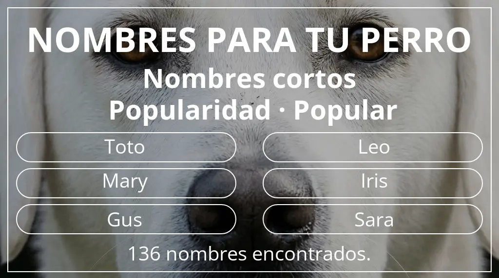 Nombres para perro inspirados en longitud del nombre corto (2-4) y popularidad popular