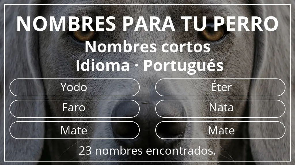 Nombres para perro basados en longitud del nombre corto (2-4) y idioma portugués