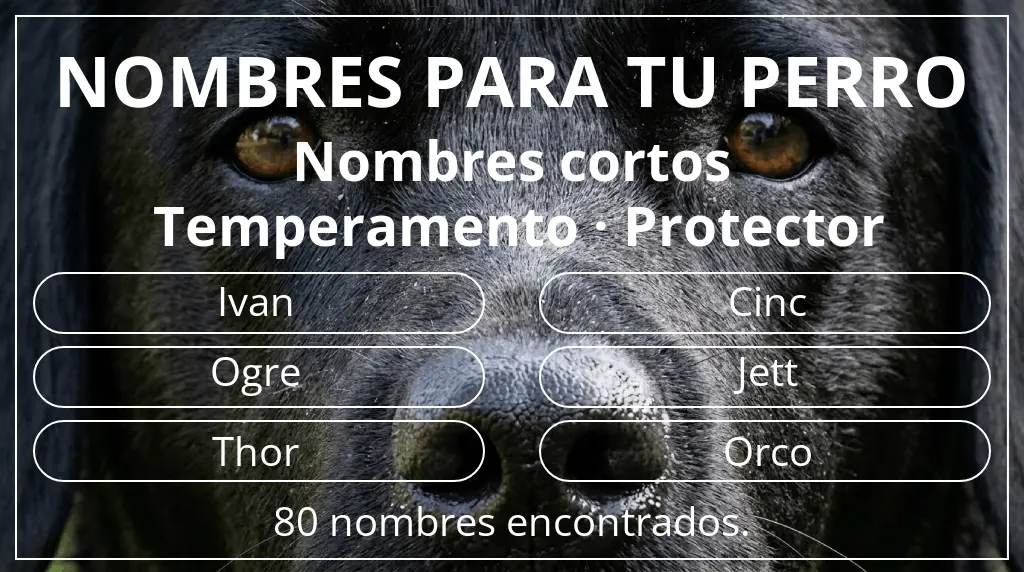 Nombres para perro basados en longitud del nombre corto (2-4) y temperamento protector