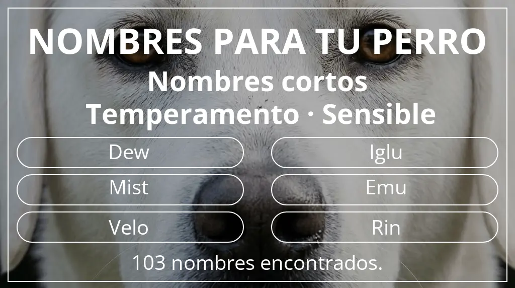 Nombres para perro basados en longitud del nombre corto (2-4) y temperamento sensible
