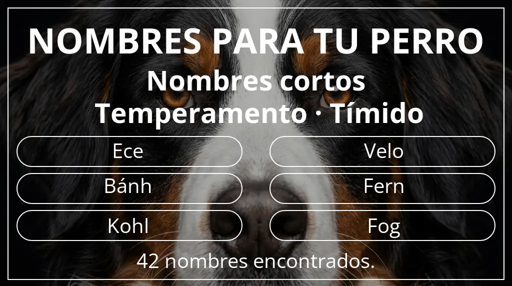 Nombres para perro basados en longitud del nombre corto (2-4) y temperamento tímido