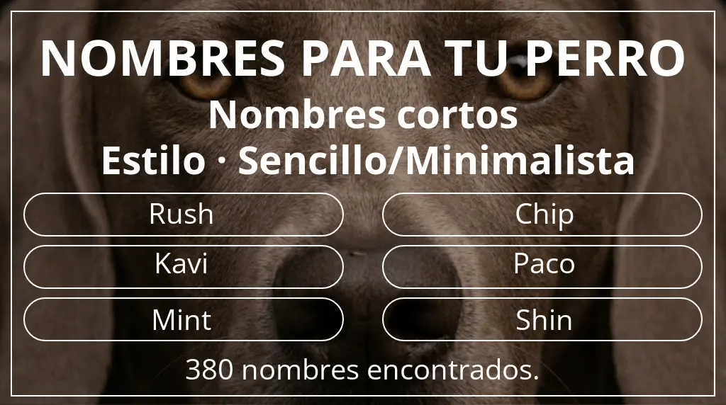 Nombres para perro inspirados en longitud del nombre corto (2-4) y estilo sencillo/minimalista