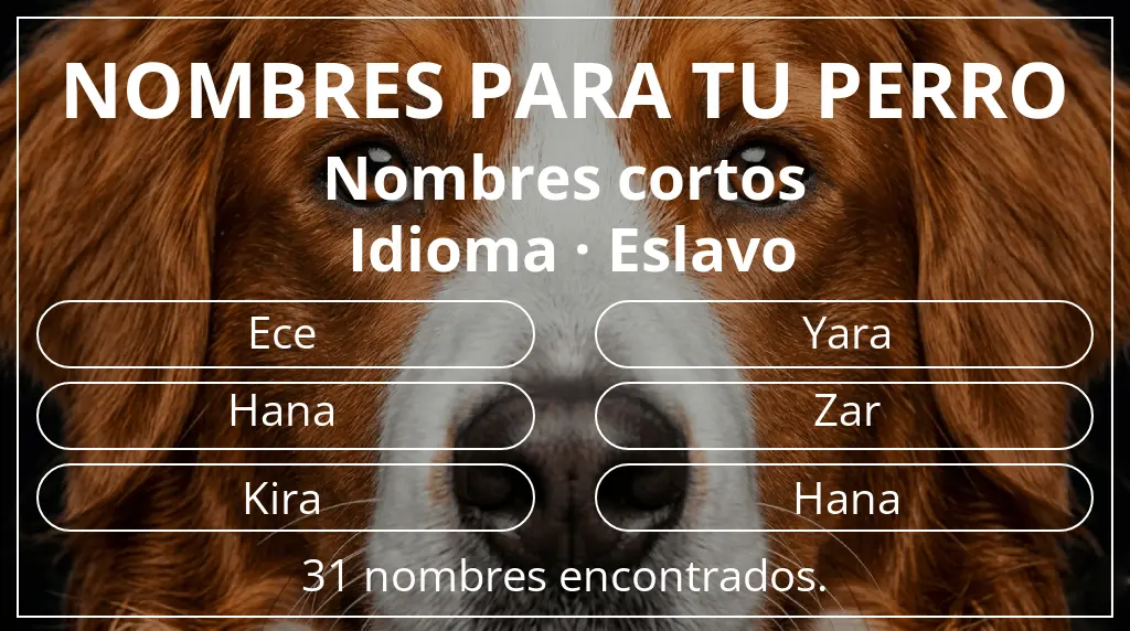 Nombres de perro inspirados en longitud del nombre corto (2-4) y idioma eslavo