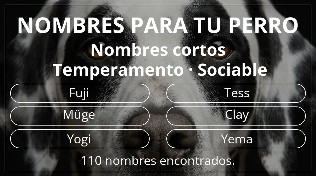 Nombres de perro basados en longitud del nombre corto (2-4) y temperamento sociable