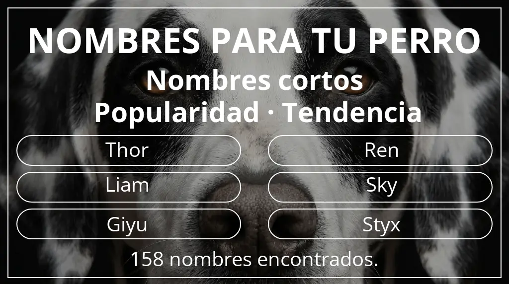 Nombres para perro inspirados en longitud del nombre corto (2-4) y popularidad tendencia