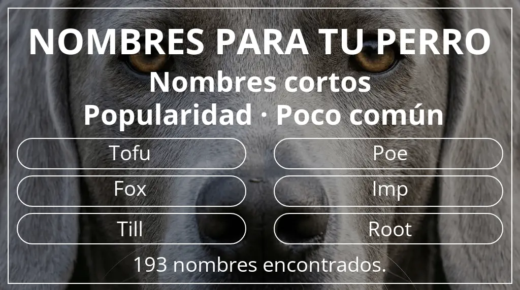 Nombres de perro inspirados en longitud del nombre corto (2-4) y popularidad poco común