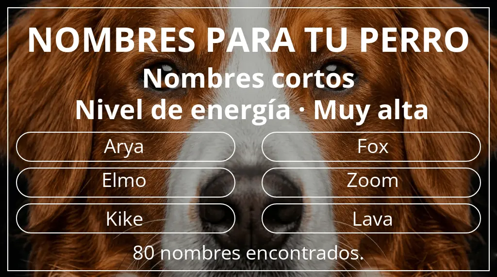 Nombres de perro inspirados en longitud del nombre corto (2-4) y nivel de energía muy alta