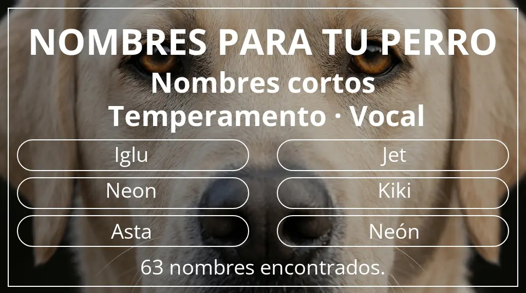 Nombres para perro inspirados en longitud del nombre corto (2-4) y temperamento vocal