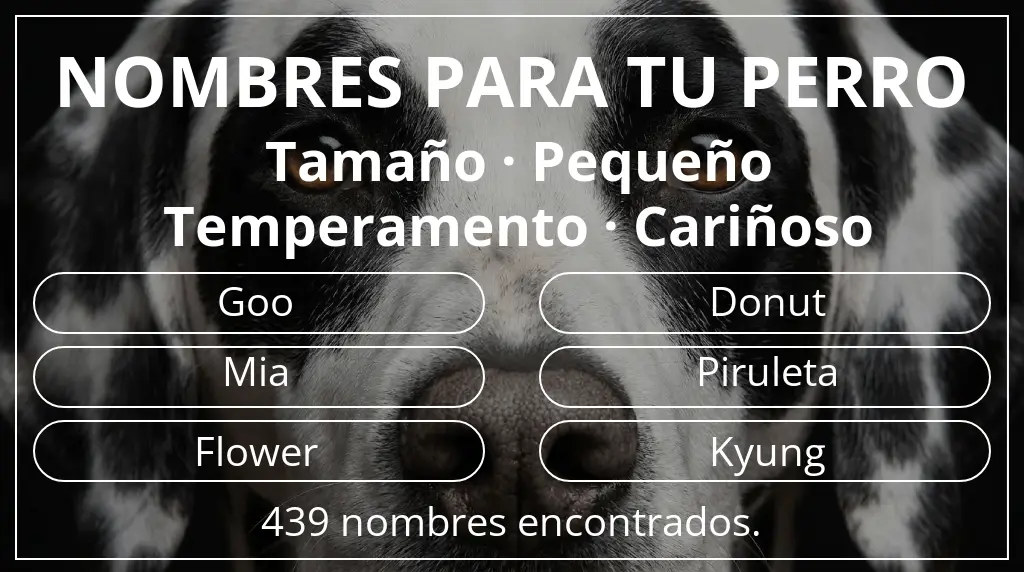Nombres para perro basados en tamaño pequeño y temperamento cariñoso