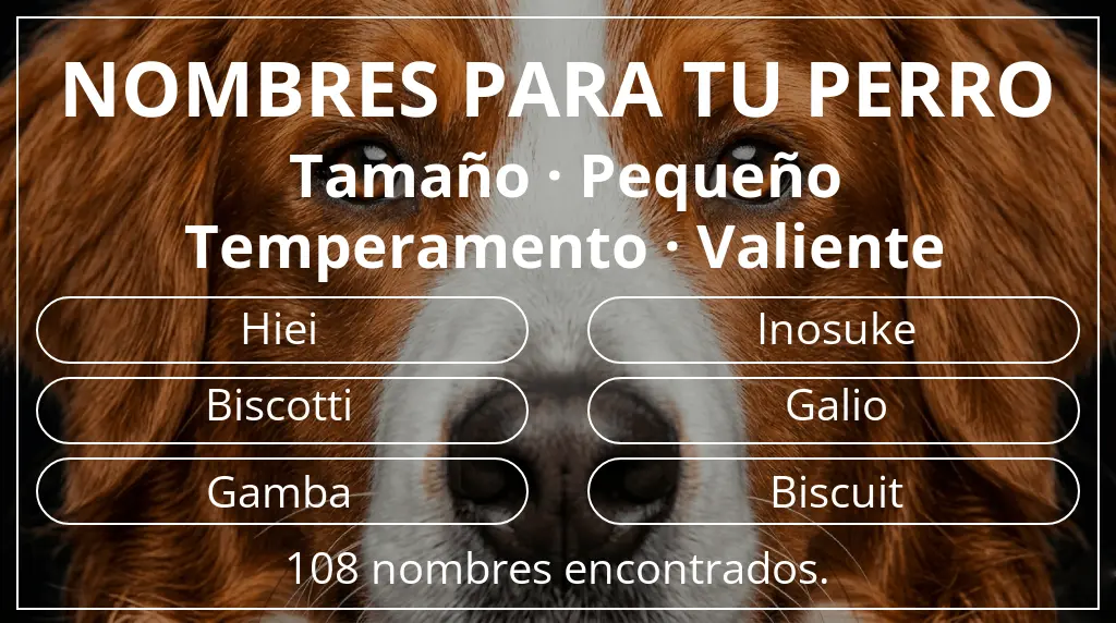 Nombres de perro basados en tamaño pequeño y temperamento valiente