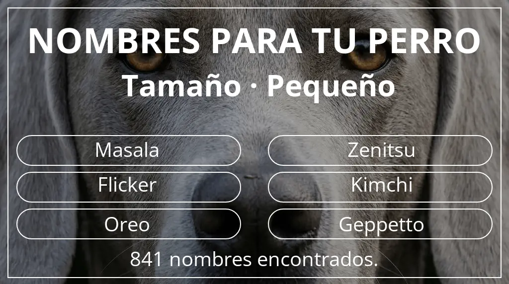 Nombres para perro basados en tamaño pequeño
