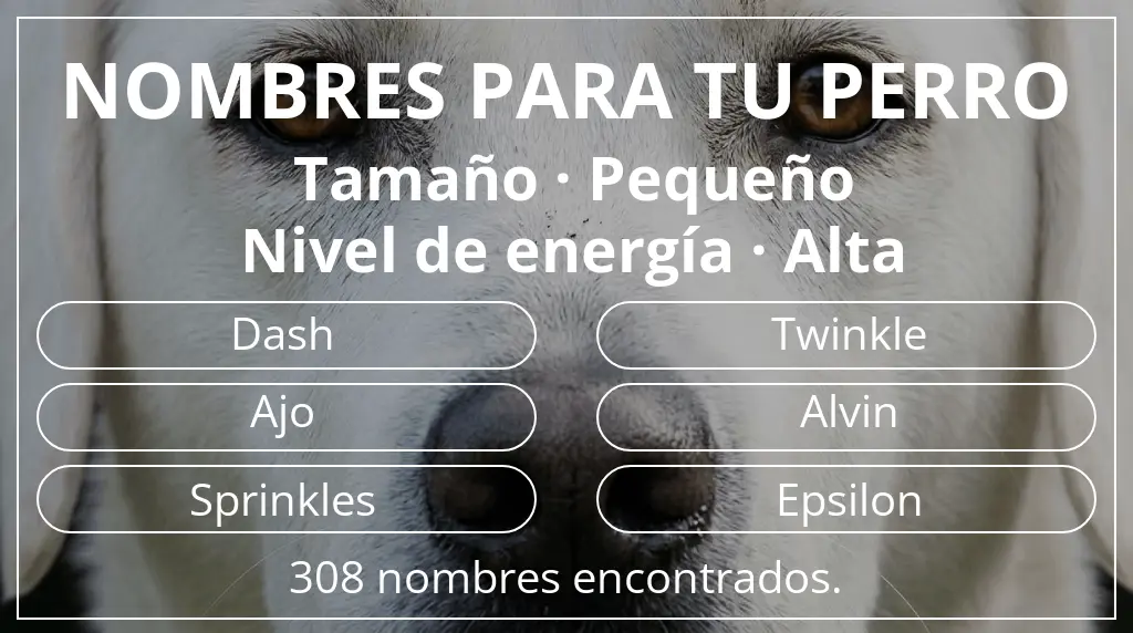 Nombres de perro basados en tamaño pequeño y nivel de energía alta