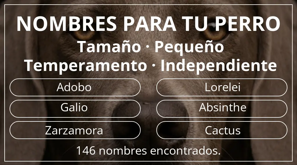 Nombres de perro basados en tamaño pequeño y temperamento independiente
