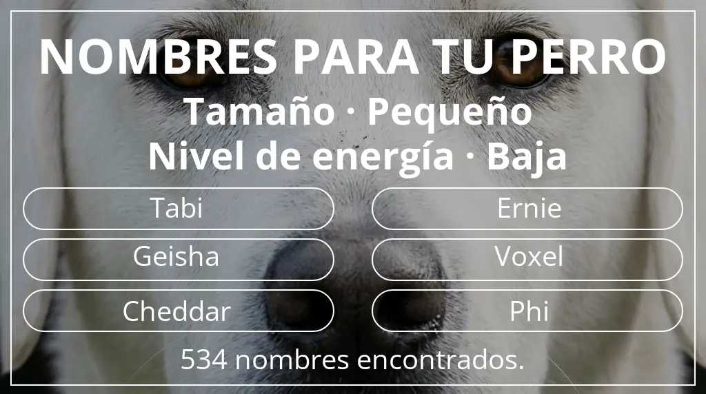 Nombres para perro basados en tamaño pequeño y nivel de energía baja