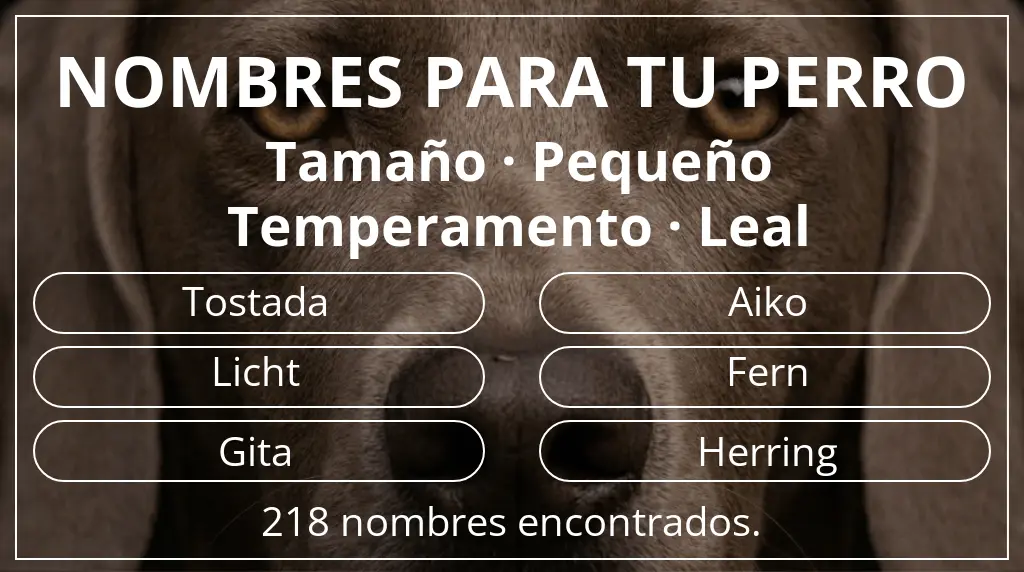 Nombres de perro inspirados en tamaño pequeño y temperamento leal