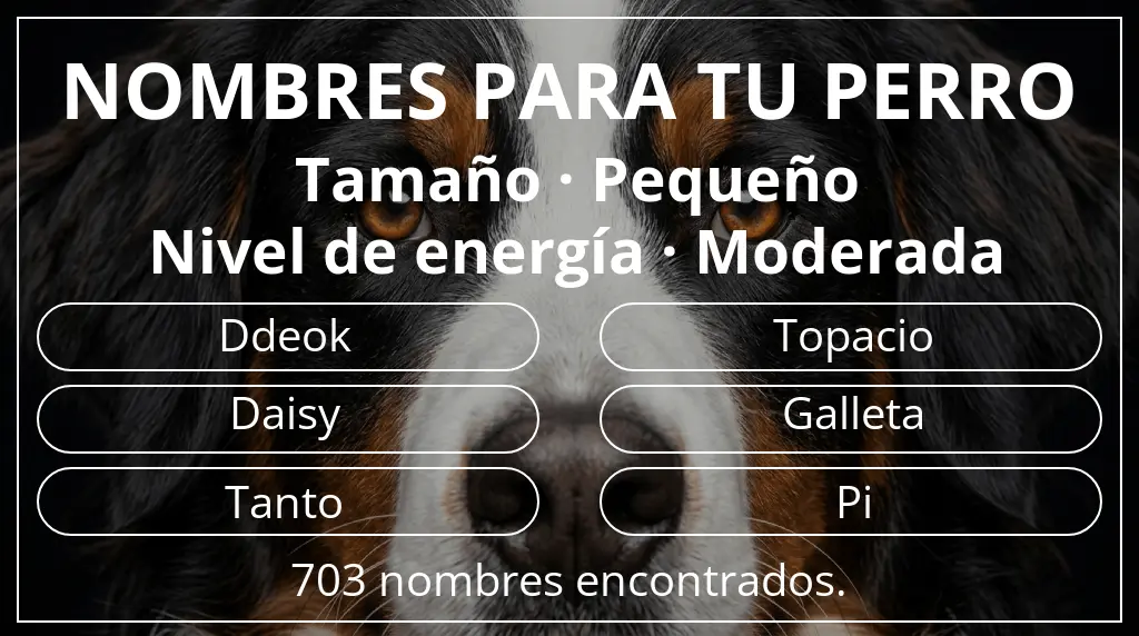 Nombres de perro inspirados en tamaño pequeño y nivel de energía moderada