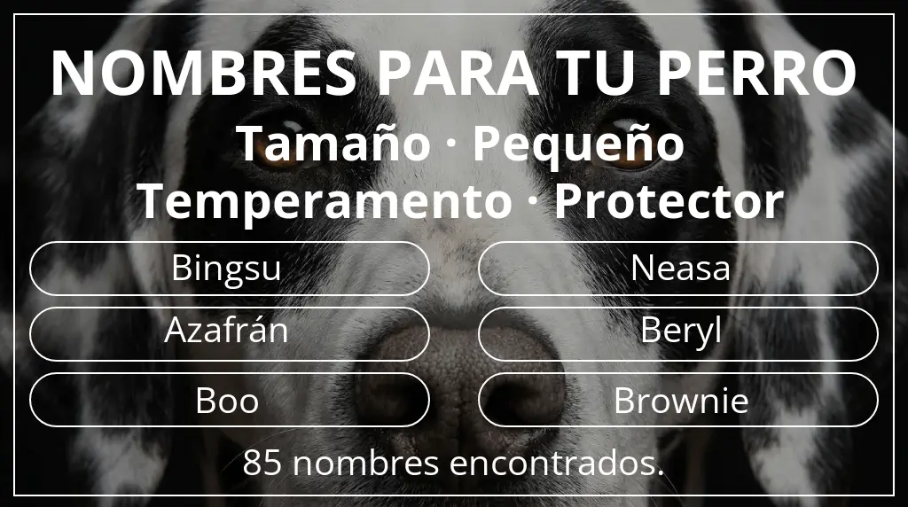 Nombres de perro basados en tamaño pequeño y temperamento protector
