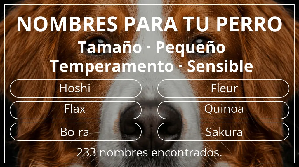Nombres para perro basados en tamaño pequeño y temperamento sensible