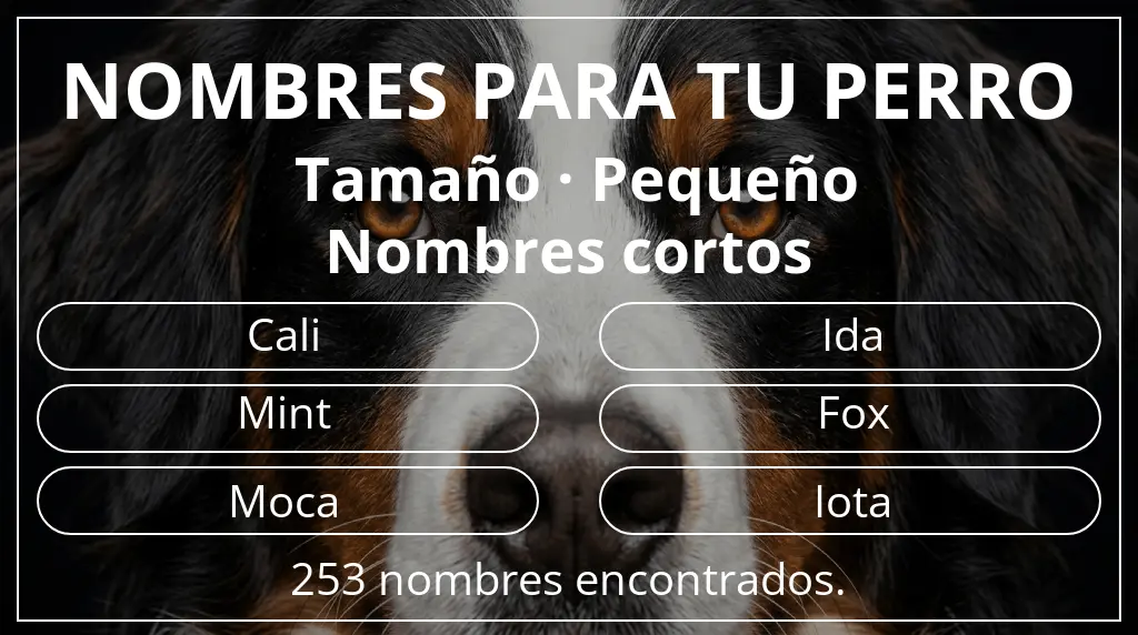 Nombres de perro basados en tamaño pequeño y longitud del nombre corto (2-4)