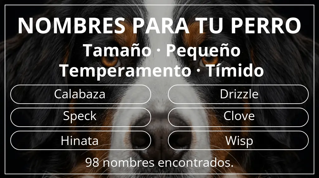 Nombres para perro basados en tamaño pequeño y temperamento tímido