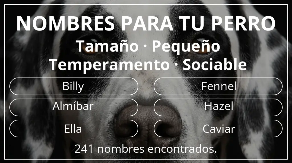 Nombres para perro inspirados en tamaño pequeño y temperamento sociable