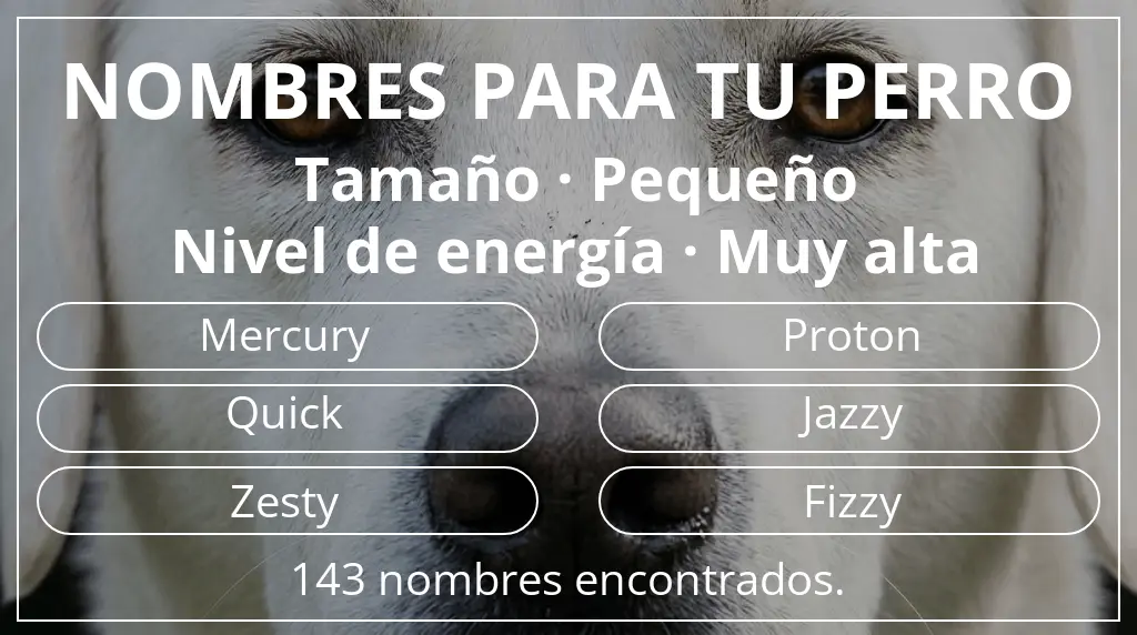 Nombres para perro basados en tamaño pequeño y nivel de energía muy alta