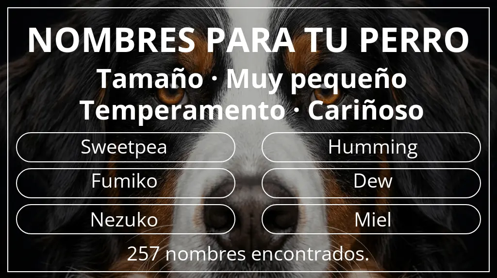 Nombres de perro inspirados en tamaño muy pequeño y temperamento cariñoso