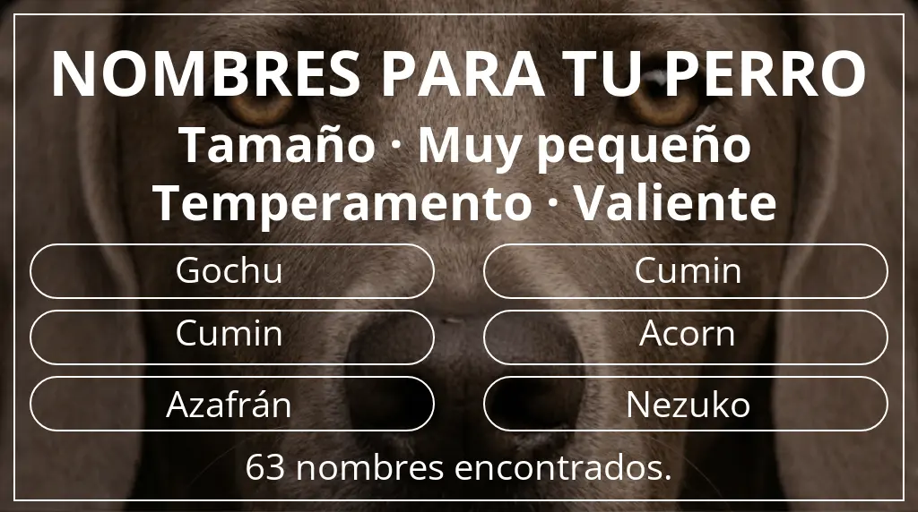 Nombres para perro inspirados en tamaño muy pequeño y temperamento valiente