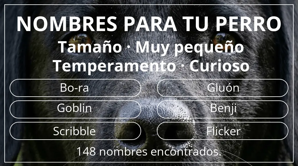Nombres para perro inspirados en tamaño muy pequeño y temperamento curioso