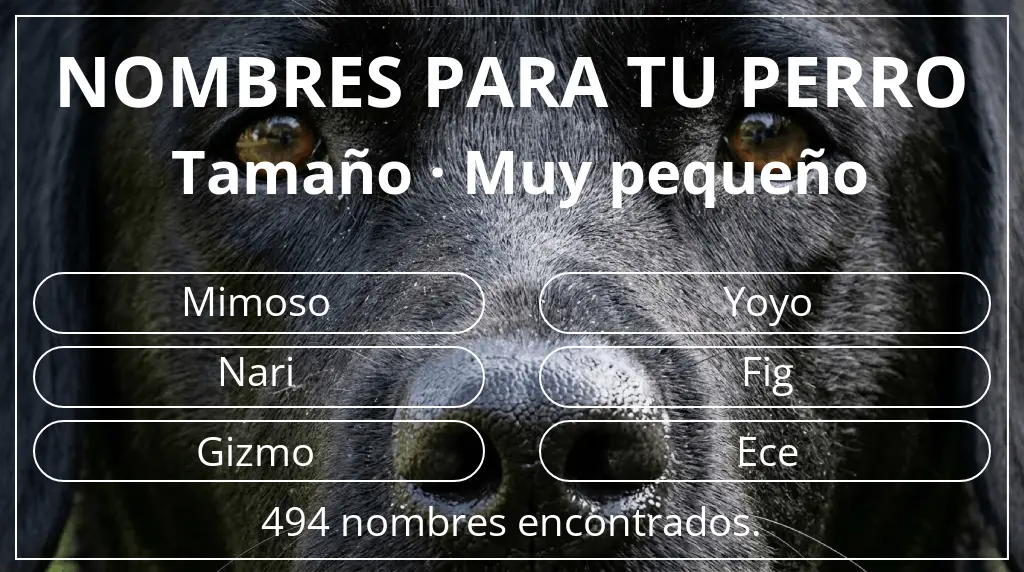 Nombres de perro inspirados en tamaño muy pequeño