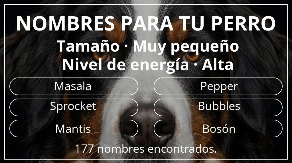 Nombres para perro basados en tamaño muy pequeño y nivel de energía alta