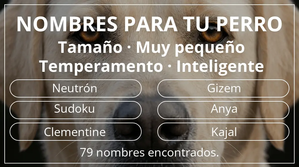 Nombres de perro inspirados en tamaño muy pequeño y temperamento inteligente