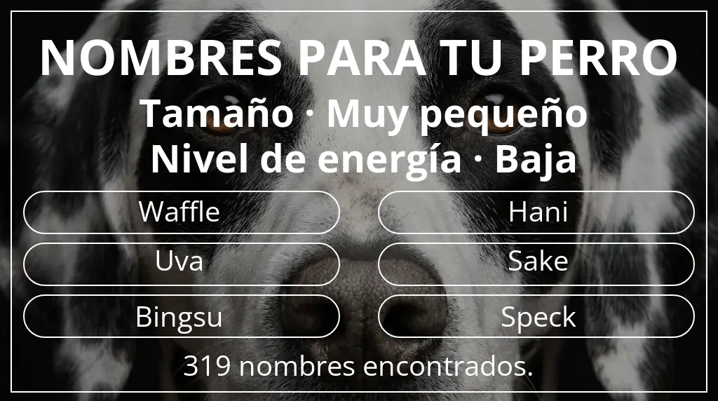 Nombres para perro basados en tamaño muy pequeño y nivel de energía baja