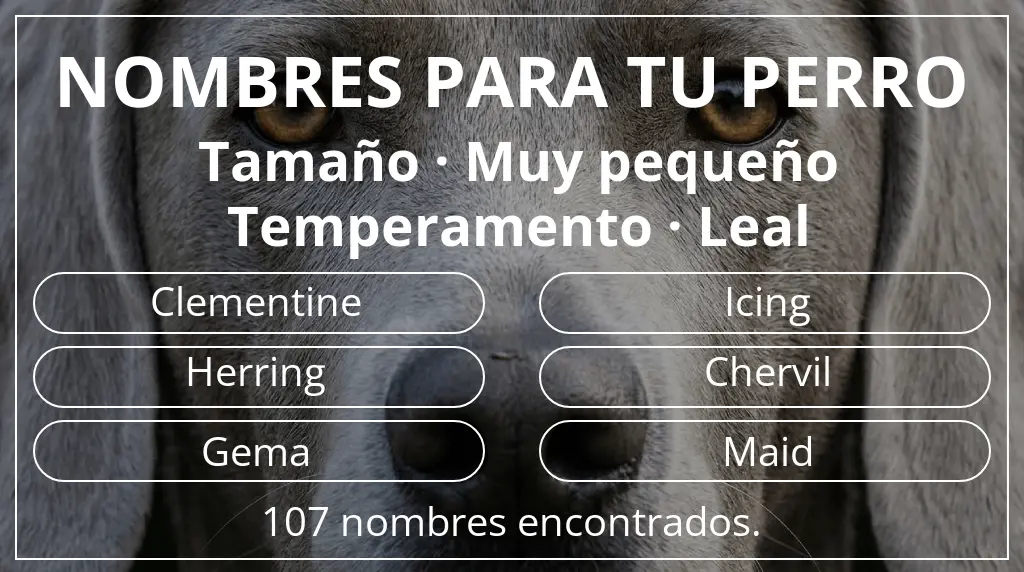 Nombres para perro basados en tamaño muy pequeño y temperamento leal