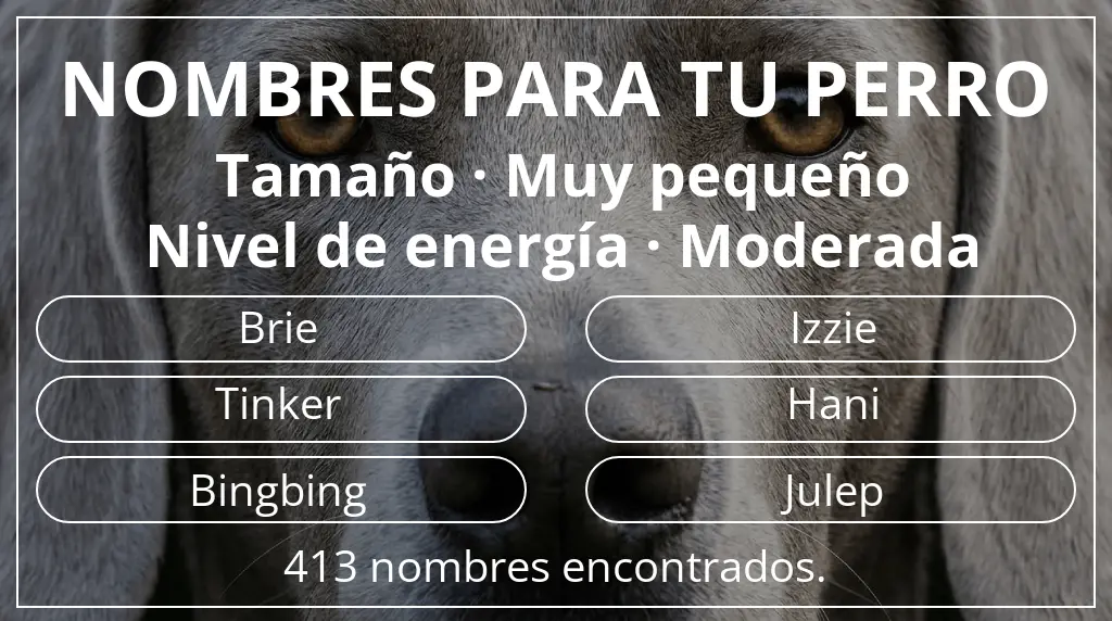 Nombres de perro inspirados en tamaño muy pequeño y nivel de energía moderada