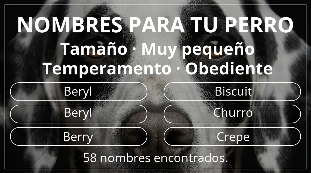 Nombres de perro basados en tamaño muy pequeño y temperamento obediente