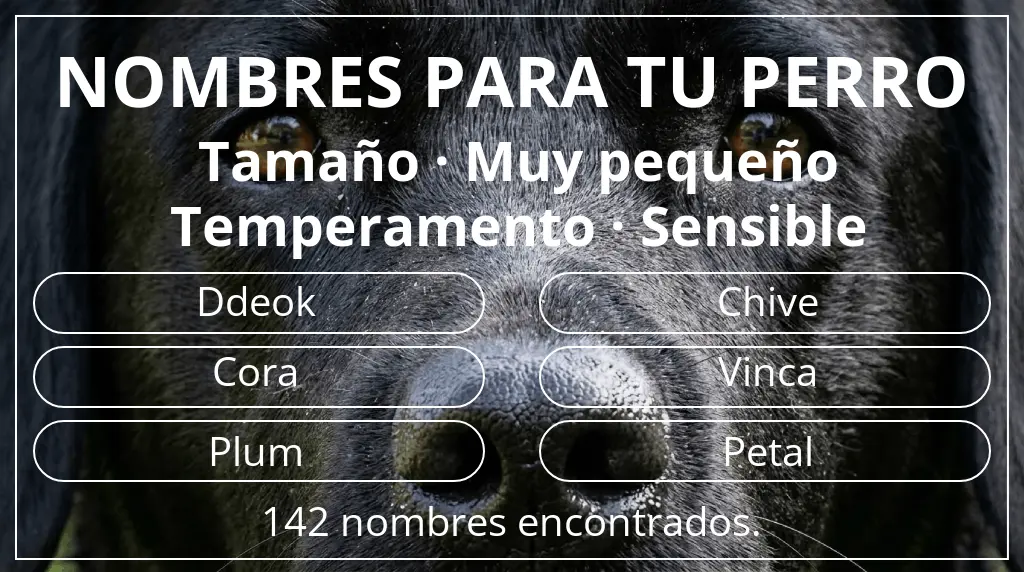 Nombres de perro basados en tamaño muy pequeño y temperamento sensible