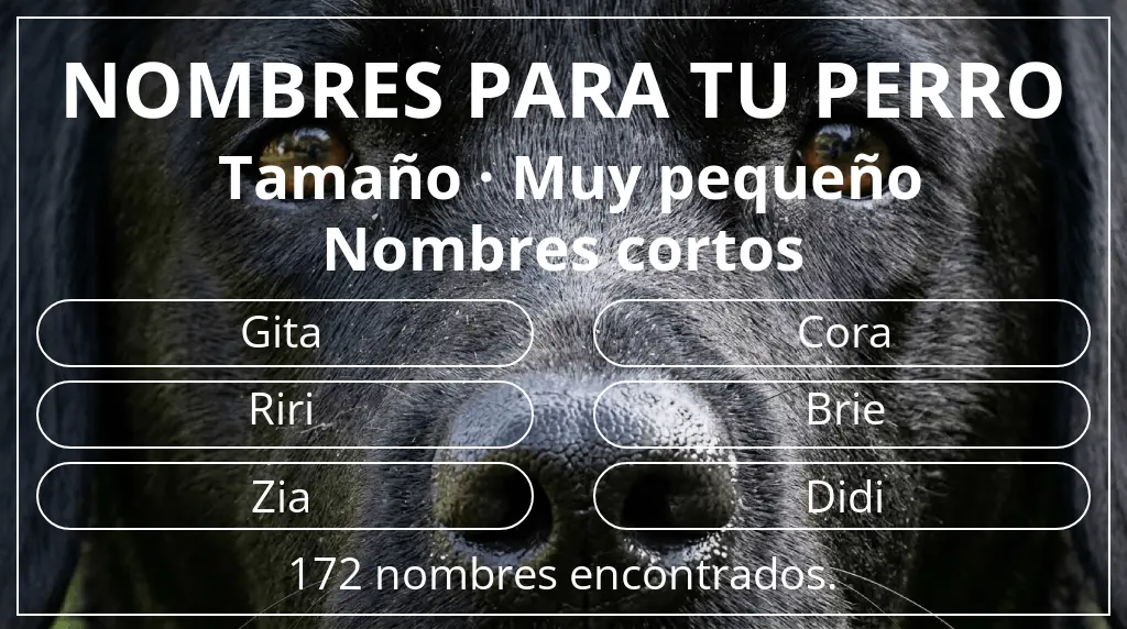 Nombres para perro inspirados en tamaño muy pequeño y longitud del nombre corto (2-4)