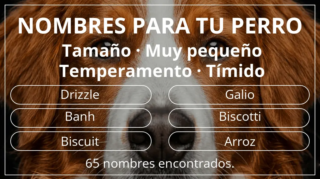 Nombres de perro basados en tamaño muy pequeño y temperamento tímido