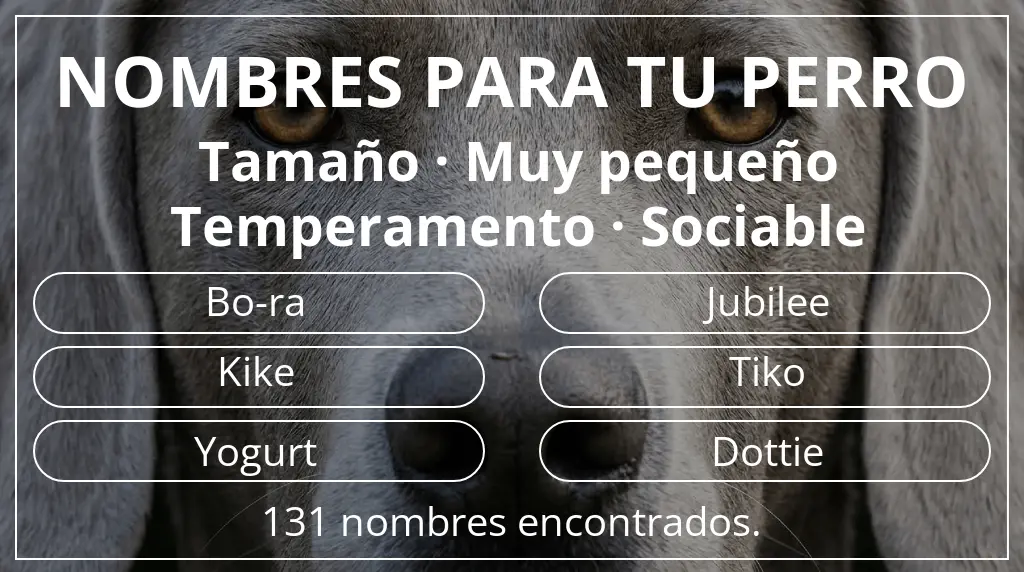 Nombres de perro basados en tamaño muy pequeño y temperamento sociable