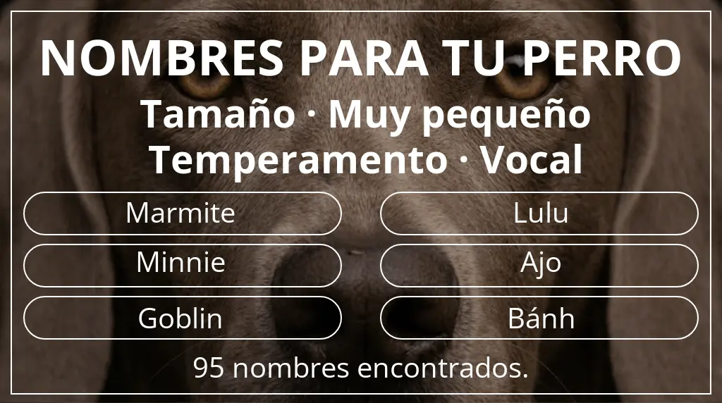 Nombres para perro inspirados en tamaño muy pequeño y temperamento vocal